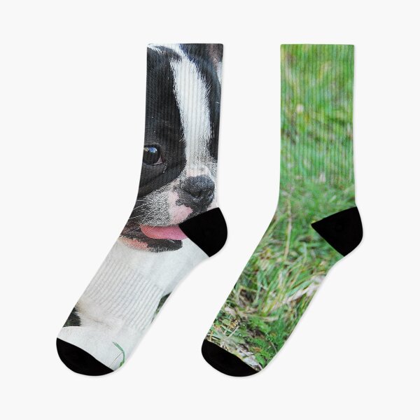 Item preview, dog on grass  designed and sold by morrismorgan.