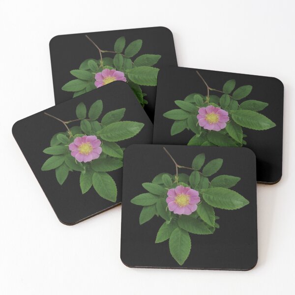 Item preview, Wild Rose designed and sold by PNWBeePhotos.