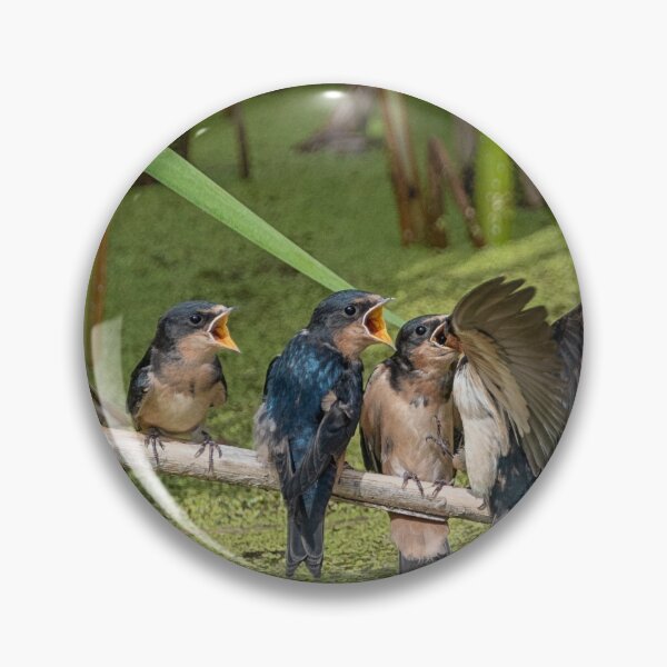 Item preview, Baby Swallows having lunch designed and sold by Sylvia Labelle.
