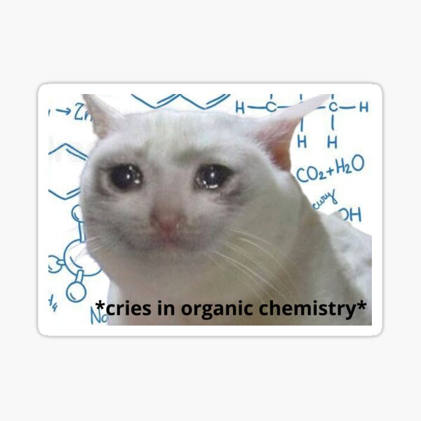 Crying cat Sticker