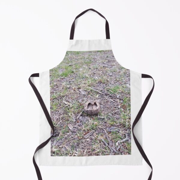 Item preview, Walnut Shell in the Woods designed and sold by melzie3.