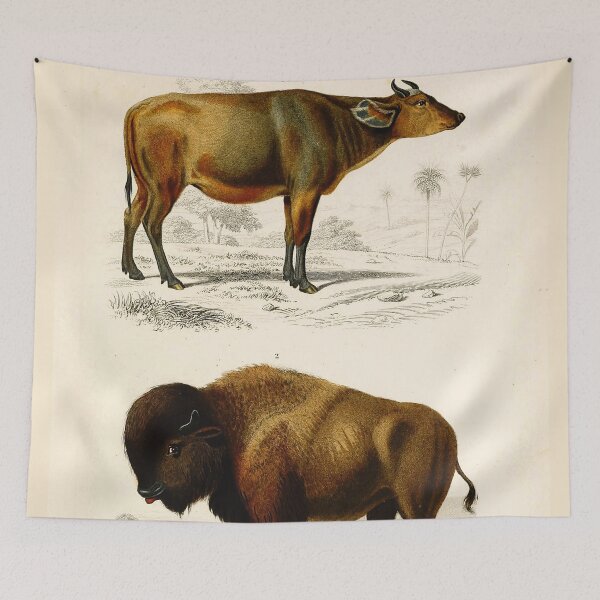 Item preview, Vintage French biology illustration - Quadrupeds Cattle Bison designed and sold by Gardenlibrary.