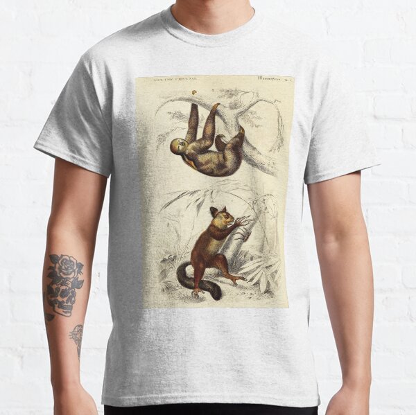 Item preview, Vintage French biology illustration - Bradype Quadrupeds designed and sold by Gardenlibrary.