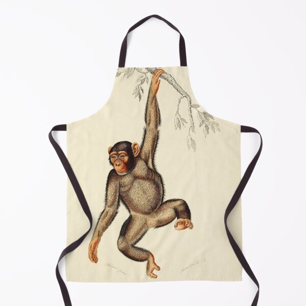 Item preview, Vintage French biology illustration - Quadrupeds Chimpanzee designed and sold by Gardenlibrary.