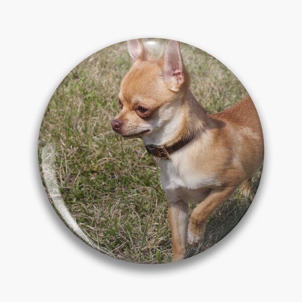 Item preview, Gundog On Duty designed and sold by Mythos57.