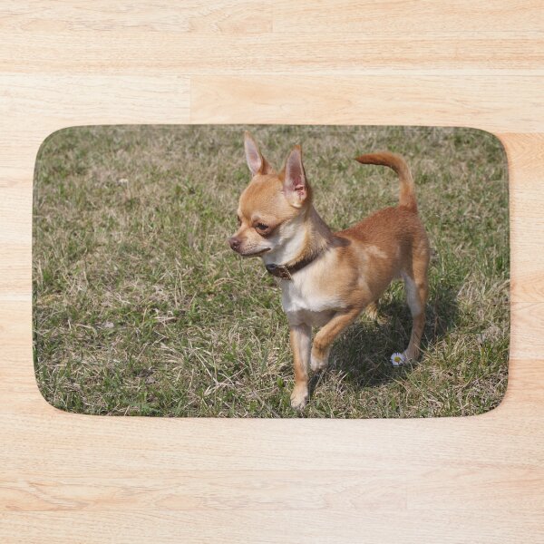 Item preview, Gundog On Duty designed and sold by Mythos57.