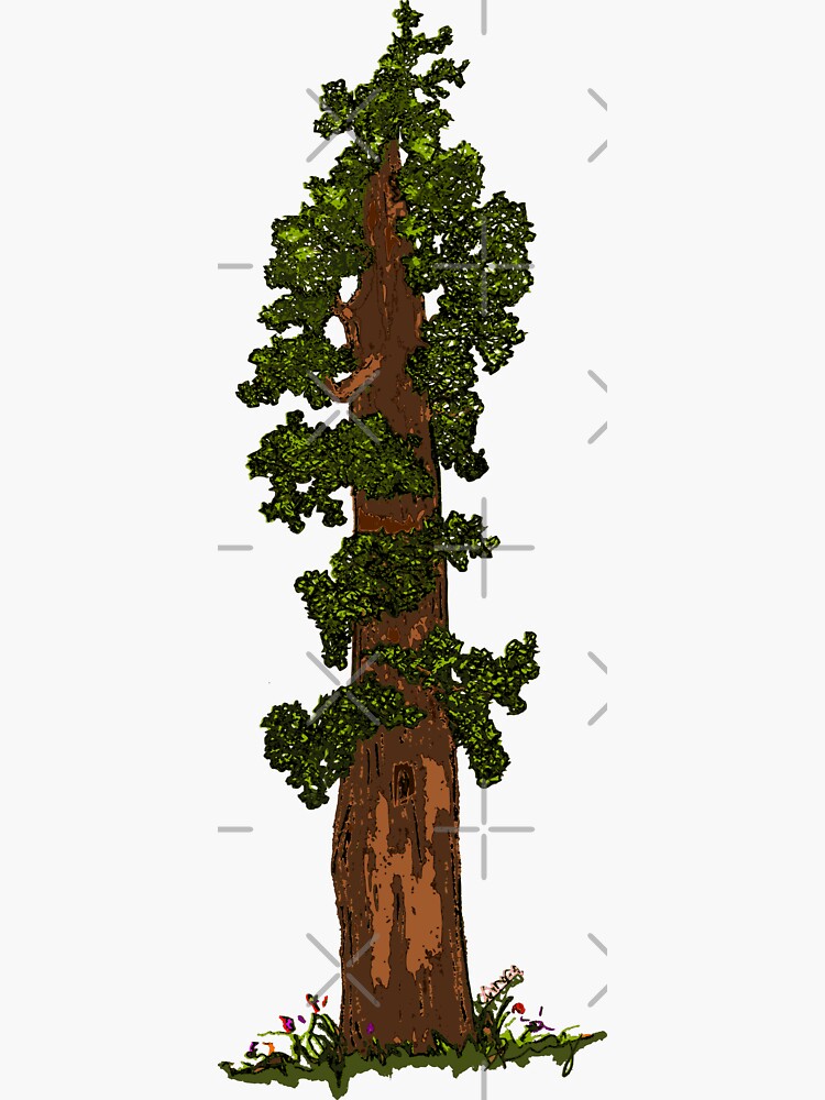 Thumbnail 3 of 3, Sticker, Giant Sequoia Tree designed and sold by BeLove19.