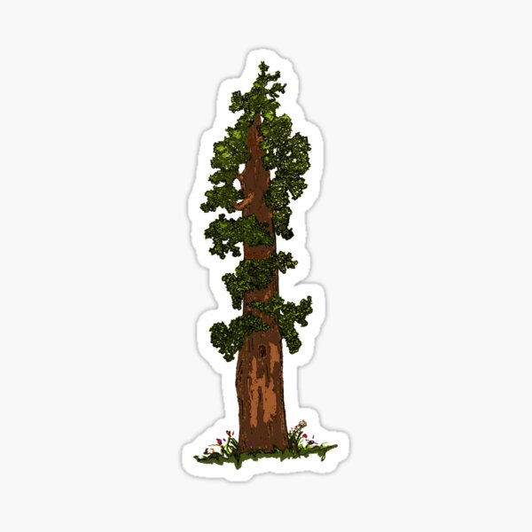 100,000 Redwood trees Vector Images | Depositphotos