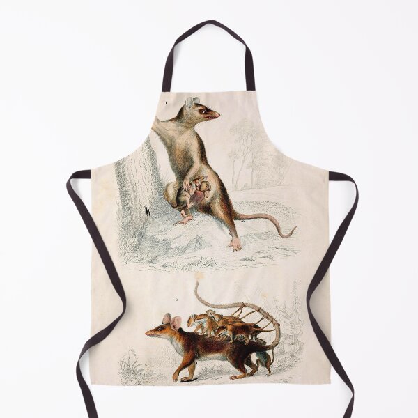 Item preview, Vintage French biology illustration - Quadrupeds Opossum designed and sold by Gardenlibrary.