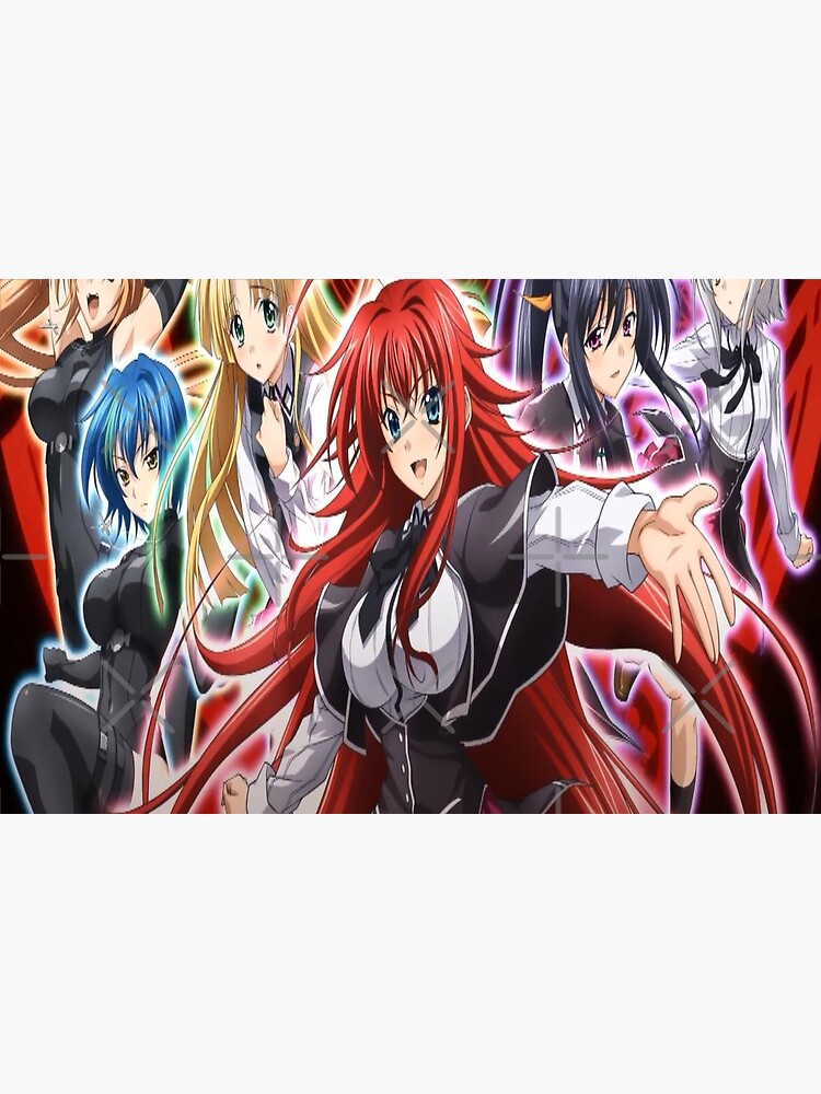 Skinhub 12 x 17 High School DxD Anime Poster