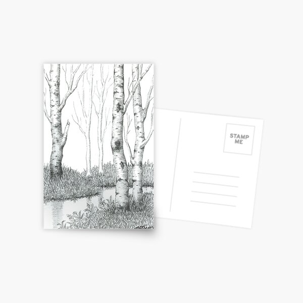 BIRCH TREE 02 Postcard