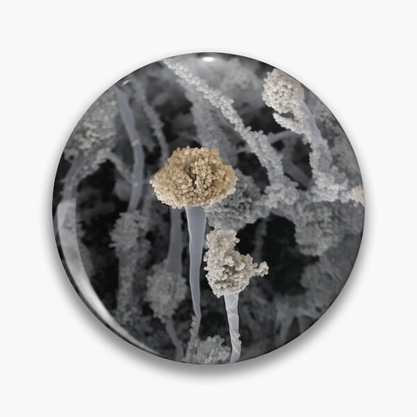Item preview, FRUITING FUNGUS MICROSCOPIC PHOTO CONCEPTUAL IMAGE  ...Microbiology designed and sold by Hippiesole.