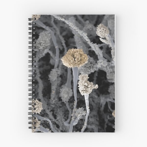 Item preview, FRUITING FUNGUS MICROSCOPIC PHOTO CONCEPTUAL IMAGE  ...Microbiology designed and sold by Hippiesole.