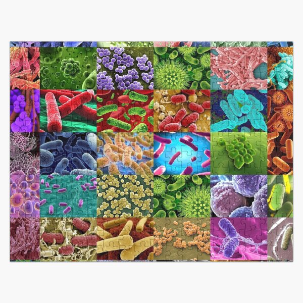 Item preview, Bacteria designed and sold by Montage-Madness.