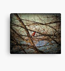 Entangled Canvas Print