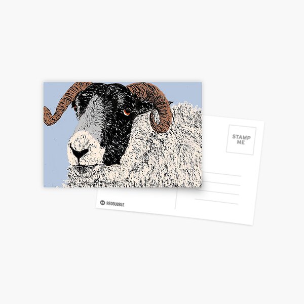 Ram at Kirriemuir Postcard