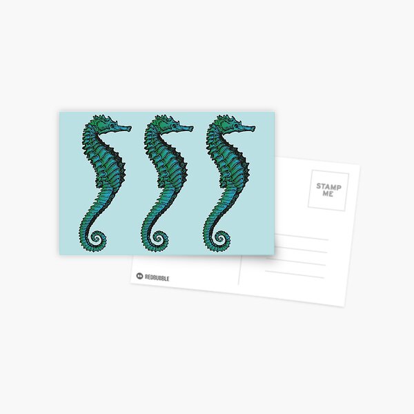 Seahorse Trio | Vintage Seahorses | Three Seahorses | Blue and Green | Postcard