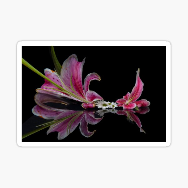 Little White Flowers Sticker