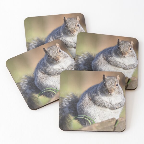 Item preview, A plump squirrel designed and sold by MikeCaffrey.