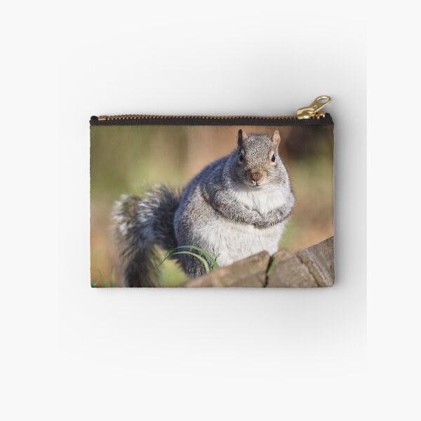 Item preview, A plump squirrel designed and sold by MikeCaffrey.