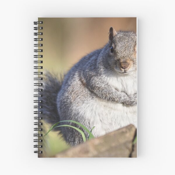 Item preview, A plump squirrel designed and sold by MikeCaffrey.