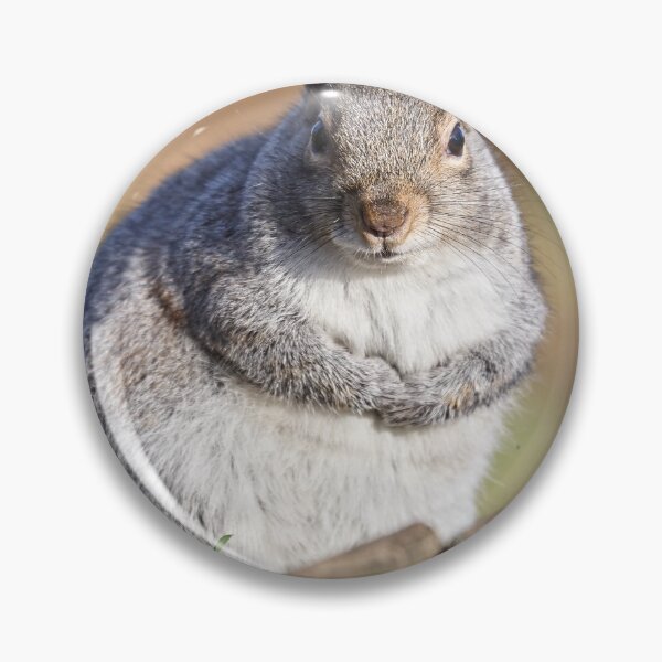 Item preview, A plump squirrel designed and sold by MikeCaffrey.