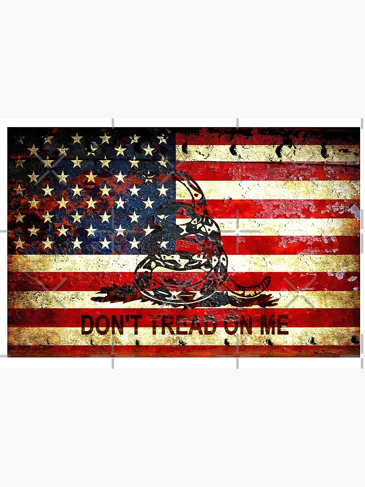 American Flag And Viper On Rusted Metal Door - Don't Tread On Me by MolonLabeArt