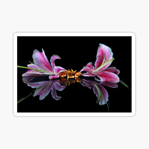 Yellow eyed Flowers Sticker