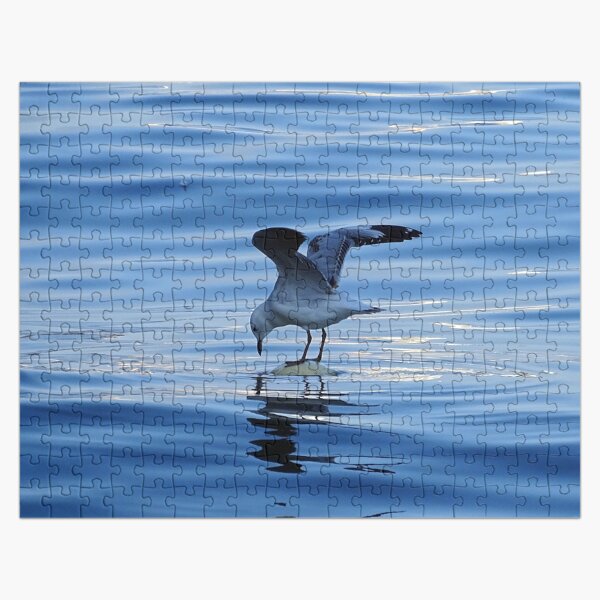Seagull Jigsaw Puzzle