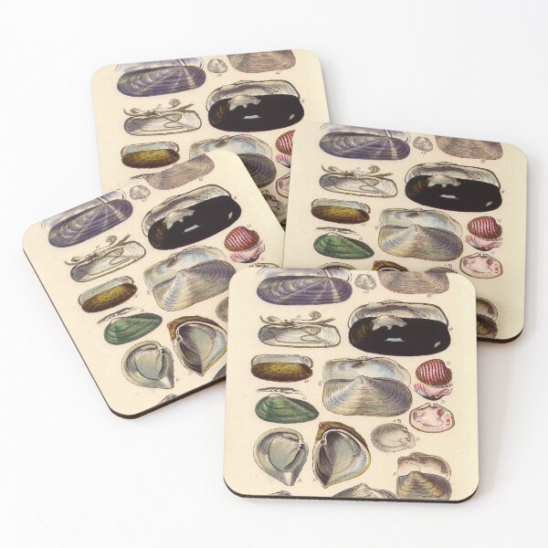 Item preview, Vintage biology illustration - Conchological Manual Plate 3. Goose neck barnacles designed and sold by Gardenlibrary.