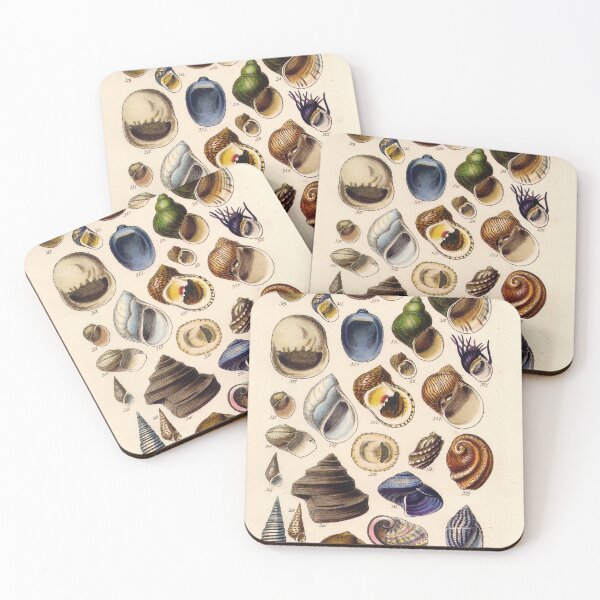 Item preview, Vintage biology illustration - Conchological Manual Plate 25. helix and spiral shaped gastropod seashells designed and sold by Gardenlibrary.
