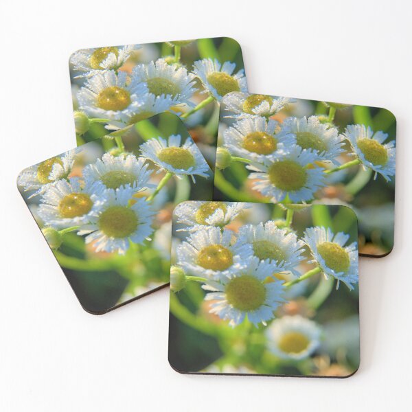 Item preview, Wildflowers At Mayne's designed and sold by LynyrdSky.