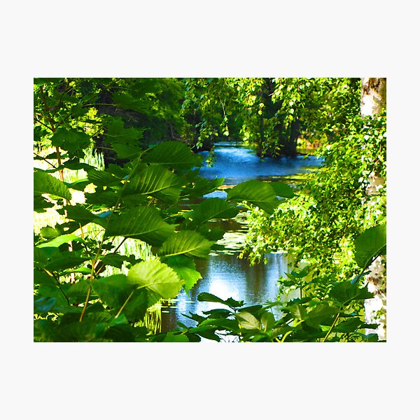 The Fountain Of Youth by Elisabeth and Barry King™ Photographic Print