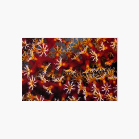 Animal flowers Art Board Print