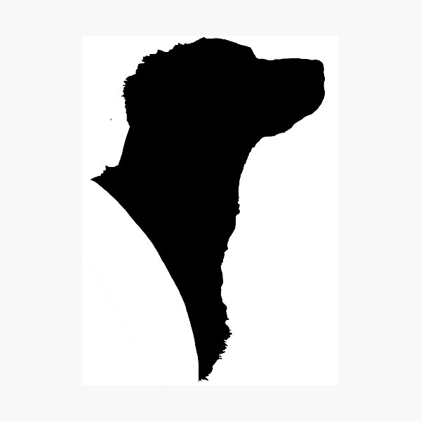 Brittany silhouette =) Photographic Print