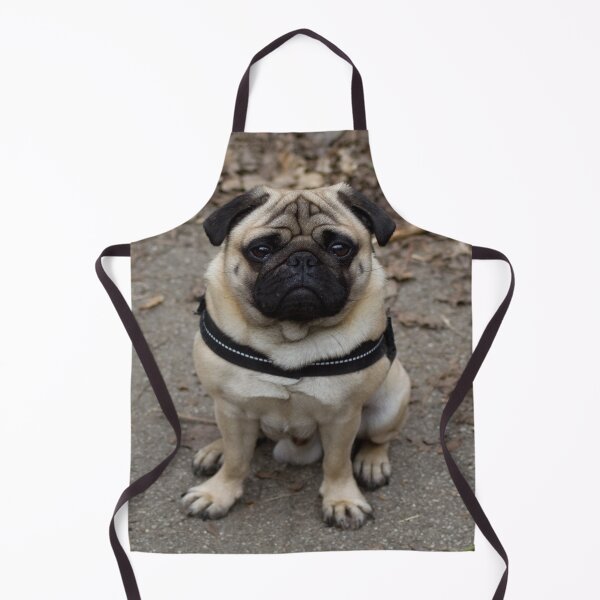 Item preview, Very Serious Pug designed and sold by Mythos57.