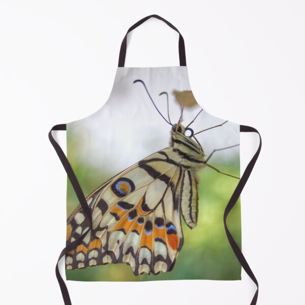 Item preview, Papilio demoleus designed and sold by Mythos57.