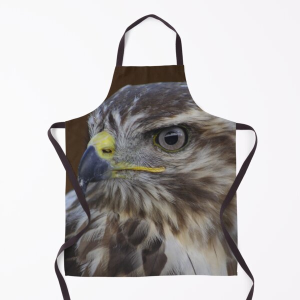 Item preview, Buteo buteo designed and sold by Mythos57.