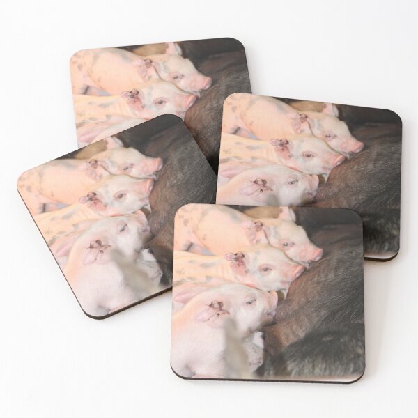 Item preview, 4 Spotted Pigs  designed and sold by JMVisuals28.