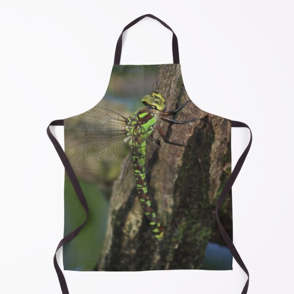 Item preview, Aeshna cyanea designed and sold by Mythos57.