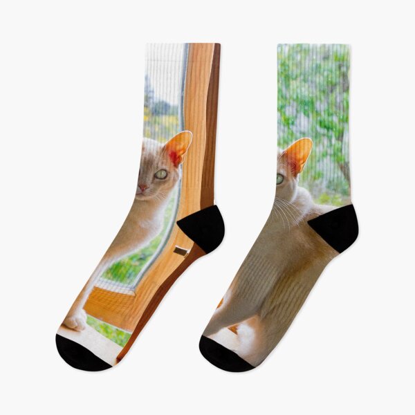 Item preview, Burmese cats in window designed and sold by Jenny Setchell.