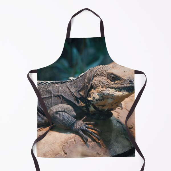 Item preview, Ctenosaura melanosterna designed and sold by Mythos57.