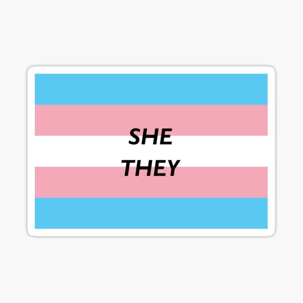 "SHE/THEY Pronoun Trans Flag" Sticker for Sale by cjdesigns7 Redbubble