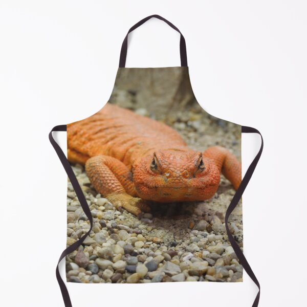 Item preview, Uromastyx geyri designed and sold by Mythos57.