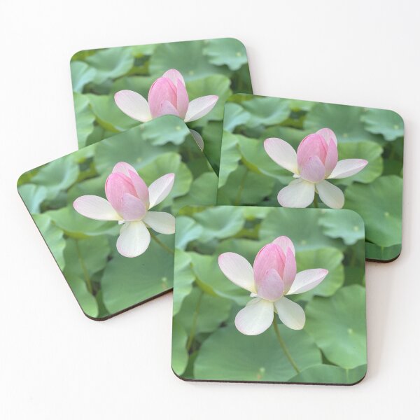 Item preview, Beautiful Japanese Water Lily designed and sold by Bradford Adams.
