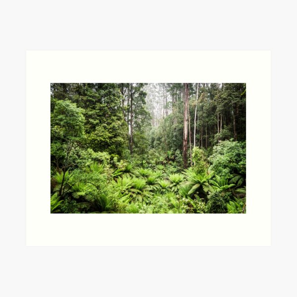 Item preview, Rainforest designed and sold by Michelle McConnell.