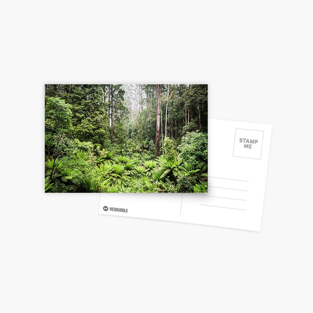 Item preview, Postcard designed and sold by mmcconnellphoto.