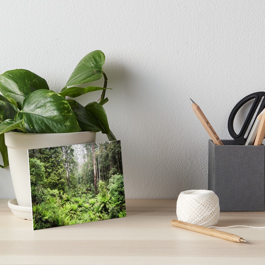 Item preview, Art Board Print designed and sold by mmcconnellphoto.