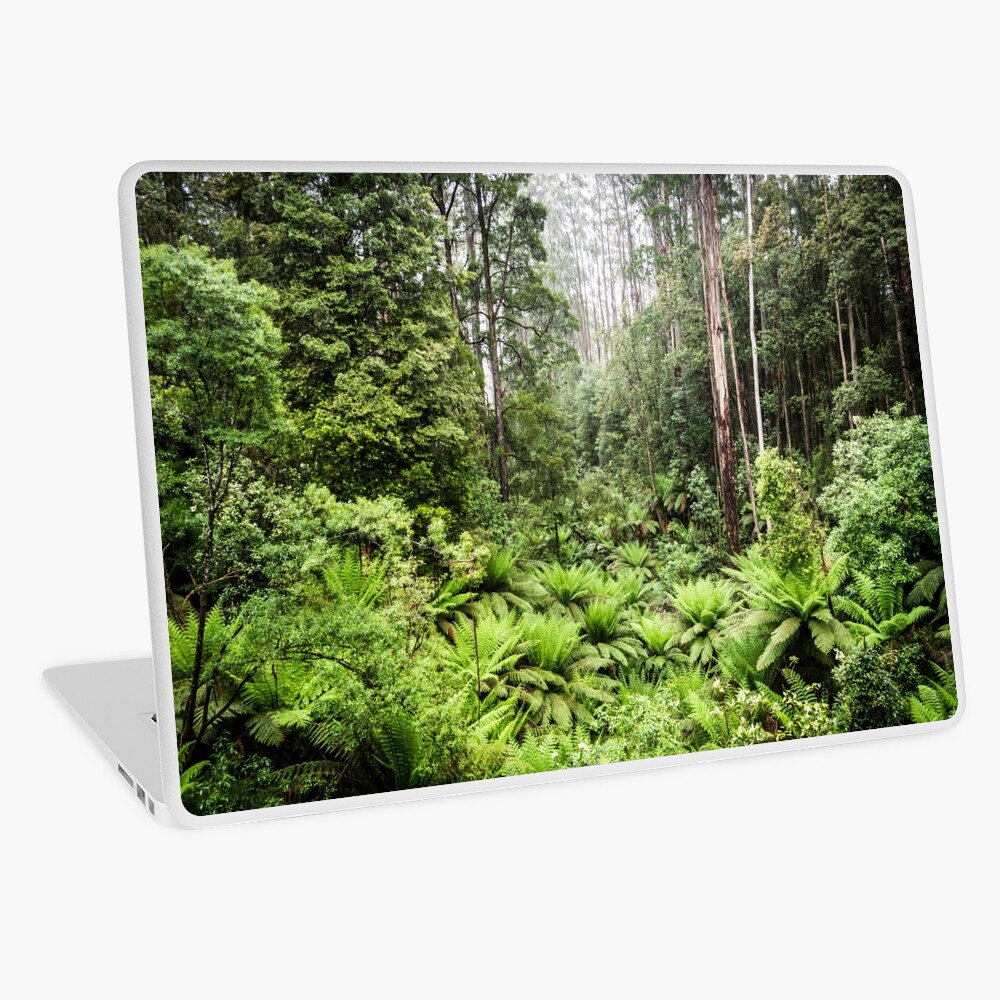 Item preview, Laptop Skin designed and sold by mmcconnellphoto.