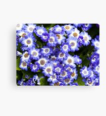 Blue Flowers Canvas Print